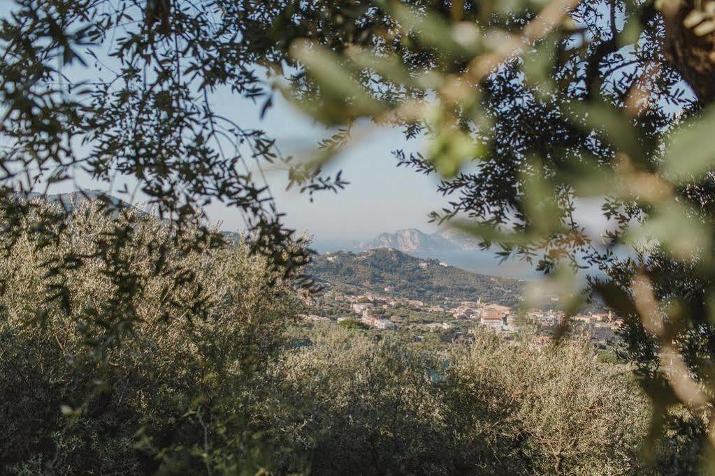 Villa Eliana Сорренто Экстерьер фото
